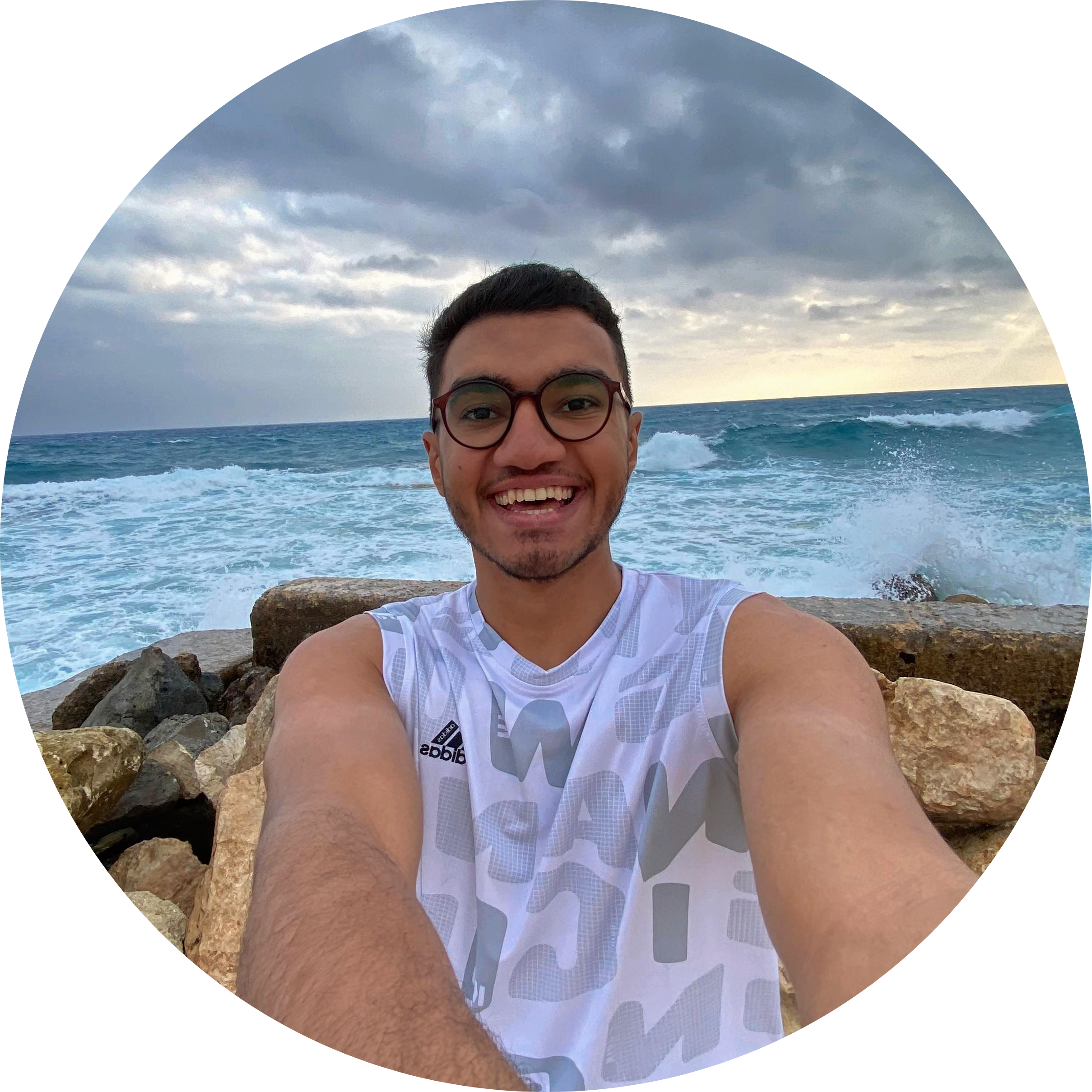 Mostafa Ibrahim Elsayed